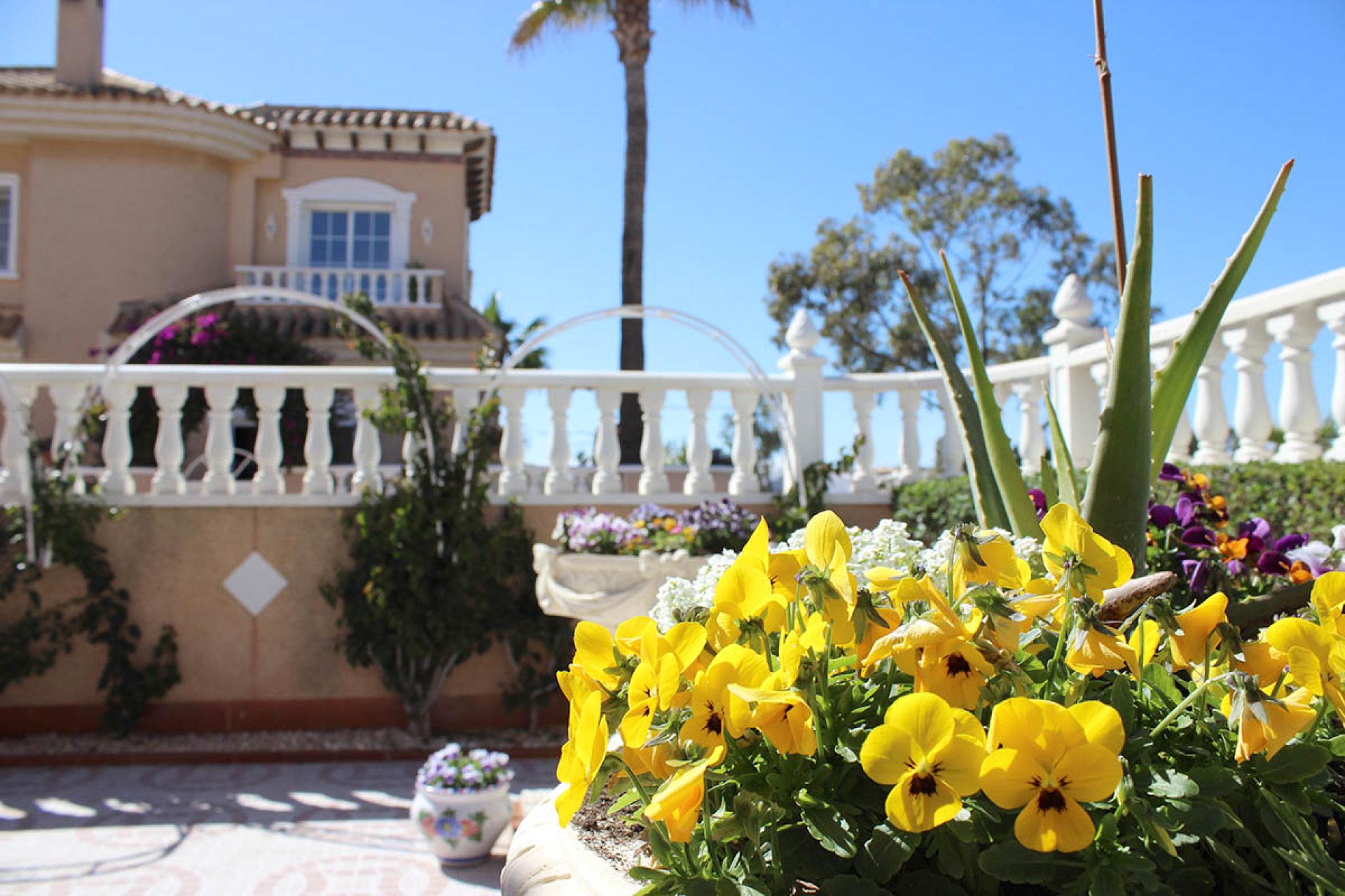 Venta - Casa - Torrevieja - Punta Prima