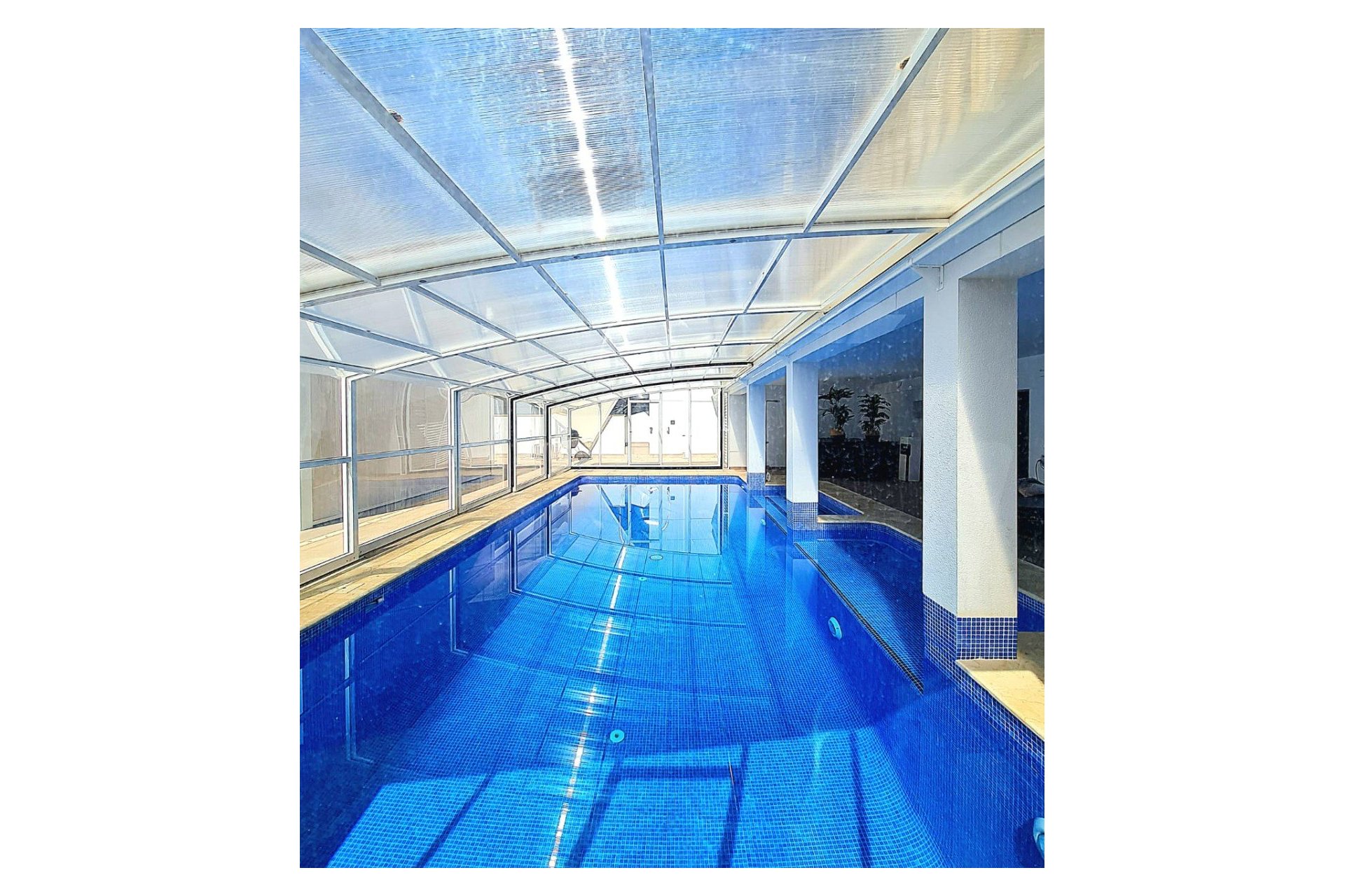 Venta - Chalet de Lujo - Orihuela costa - Dehesa de Campoamor