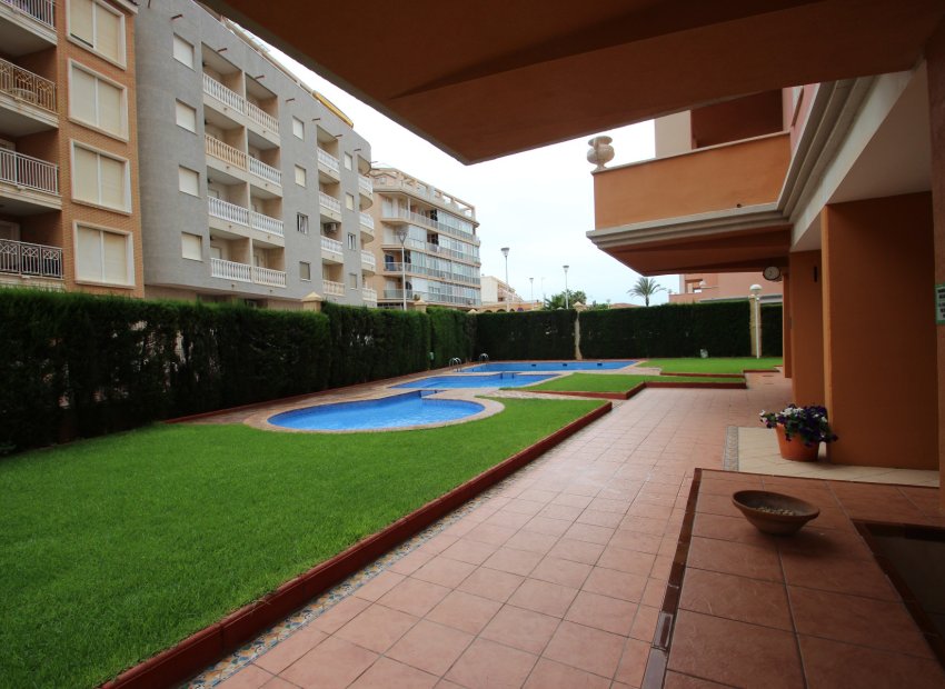 Venta - Duplex - Torrevieja - Centro Ciudad