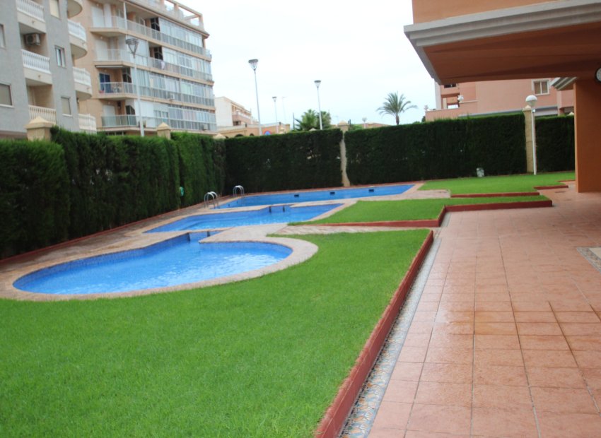 Venta - Duplex - Torrevieja - Centro Ciudad