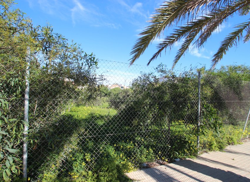 Venta - Parcela/Terreno - Orihuela costa - Cabo Roig