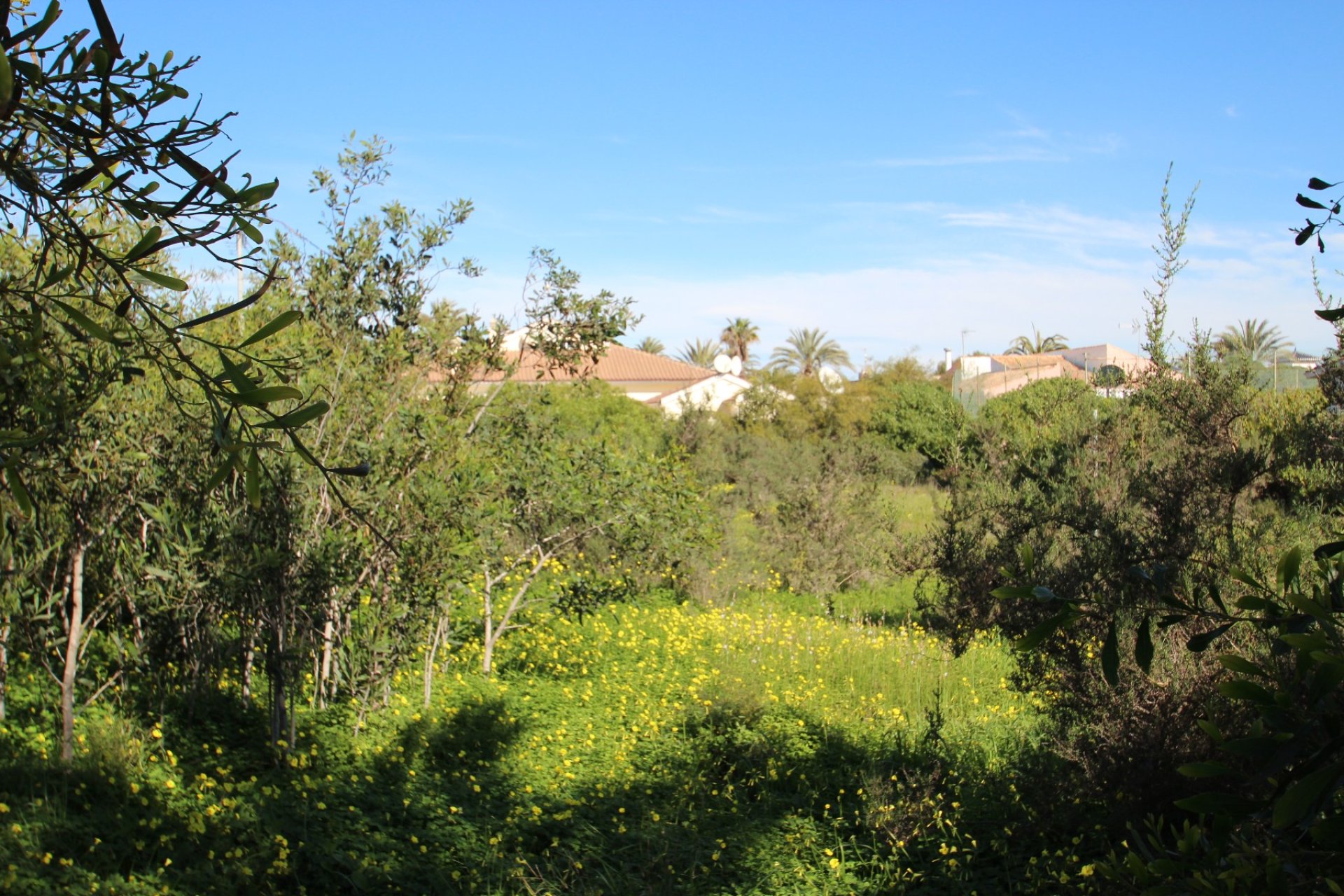 Venta - Parcela/Terreno - Orihuela costa - Cabo Roig