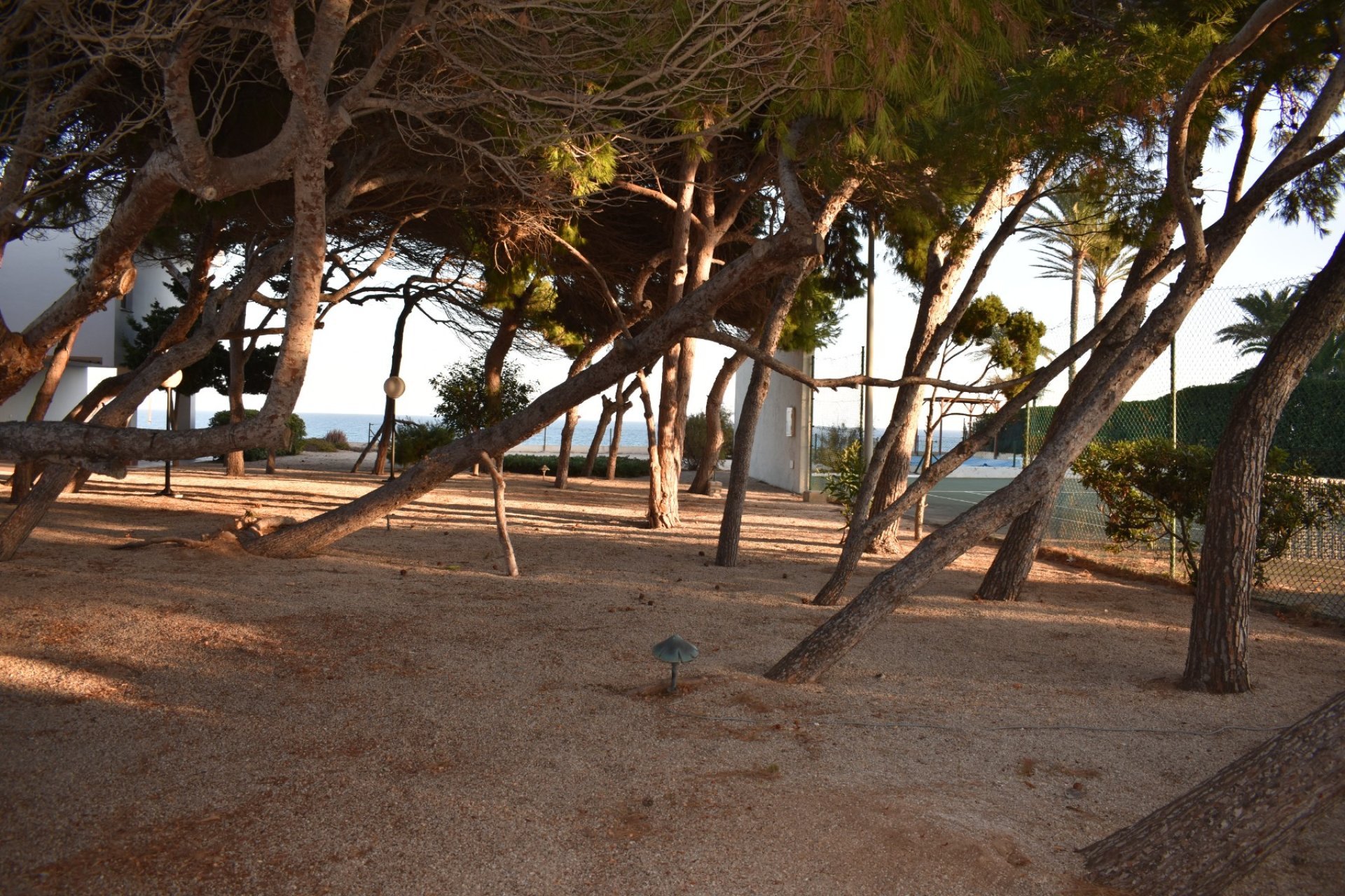 Venta - Parcela/Terreno - Orihuela costa - Cabo Roig