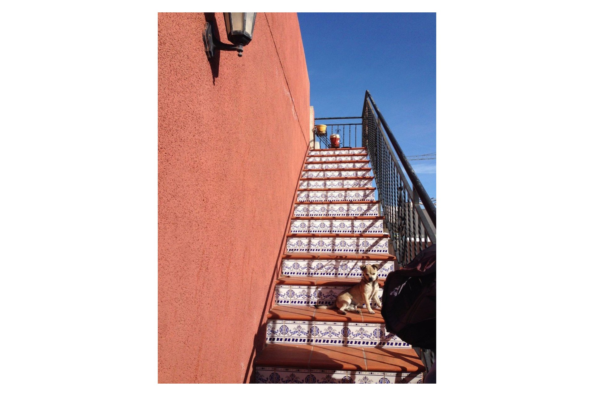 Вторичная недвижимость - бунгало - Torrevieja - Nueva Torrevieja/Aguas Nuevas