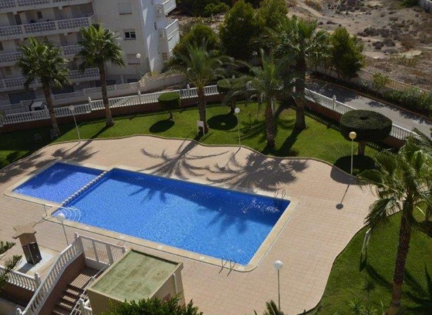 Вторичная недвижимость - дуплекс - Torrevieja - La Mata