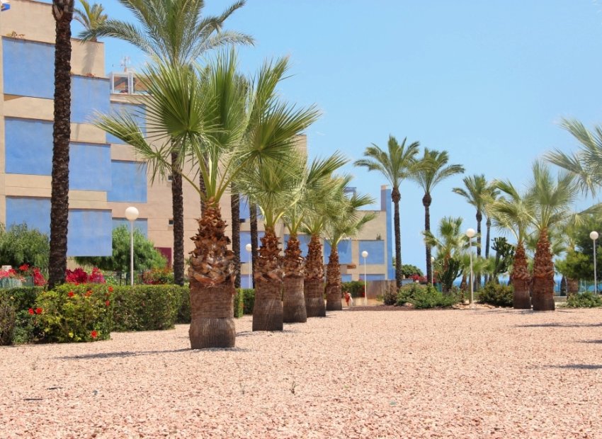 Вторичная недвижимость - Квартира на последнем этажe - Orihuela costa - Aguamarina