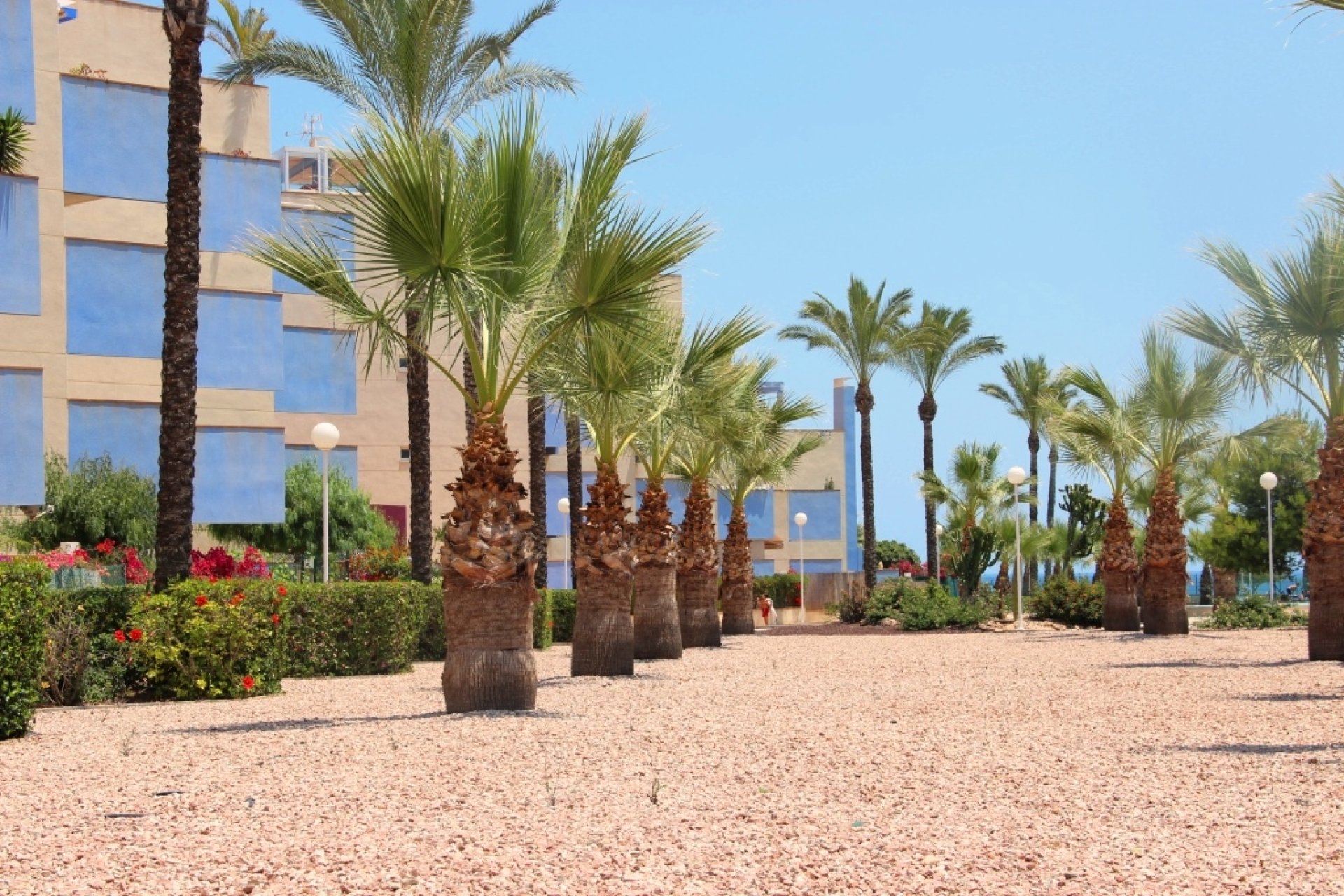 Вторичная недвижимость - Квартира на последнем этажe - Orihuela costa - Aguamarina