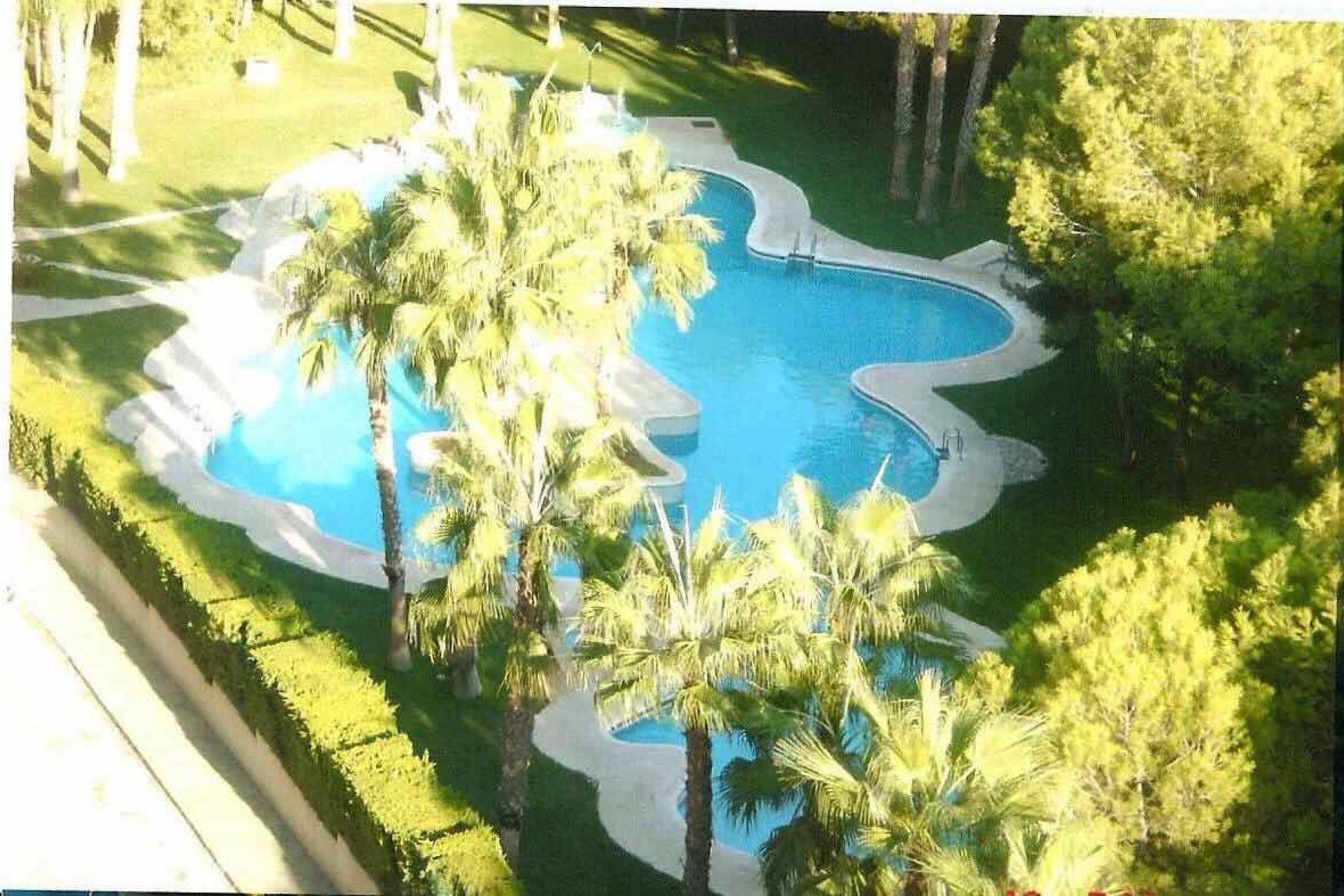 Вторичная недвижимость - квартира - Orihuela costa - Dehesa de Campoamor