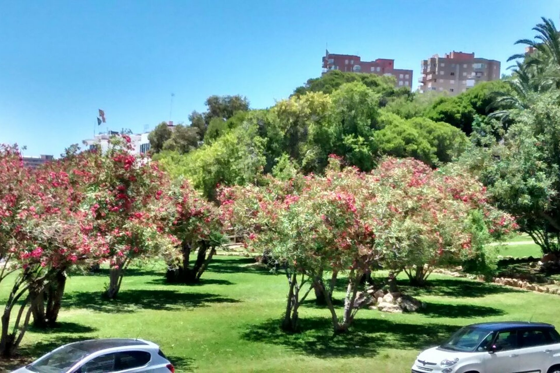 Вторичная недвижимость - квартира - Orihuela costa - Dehesa de Campoamor