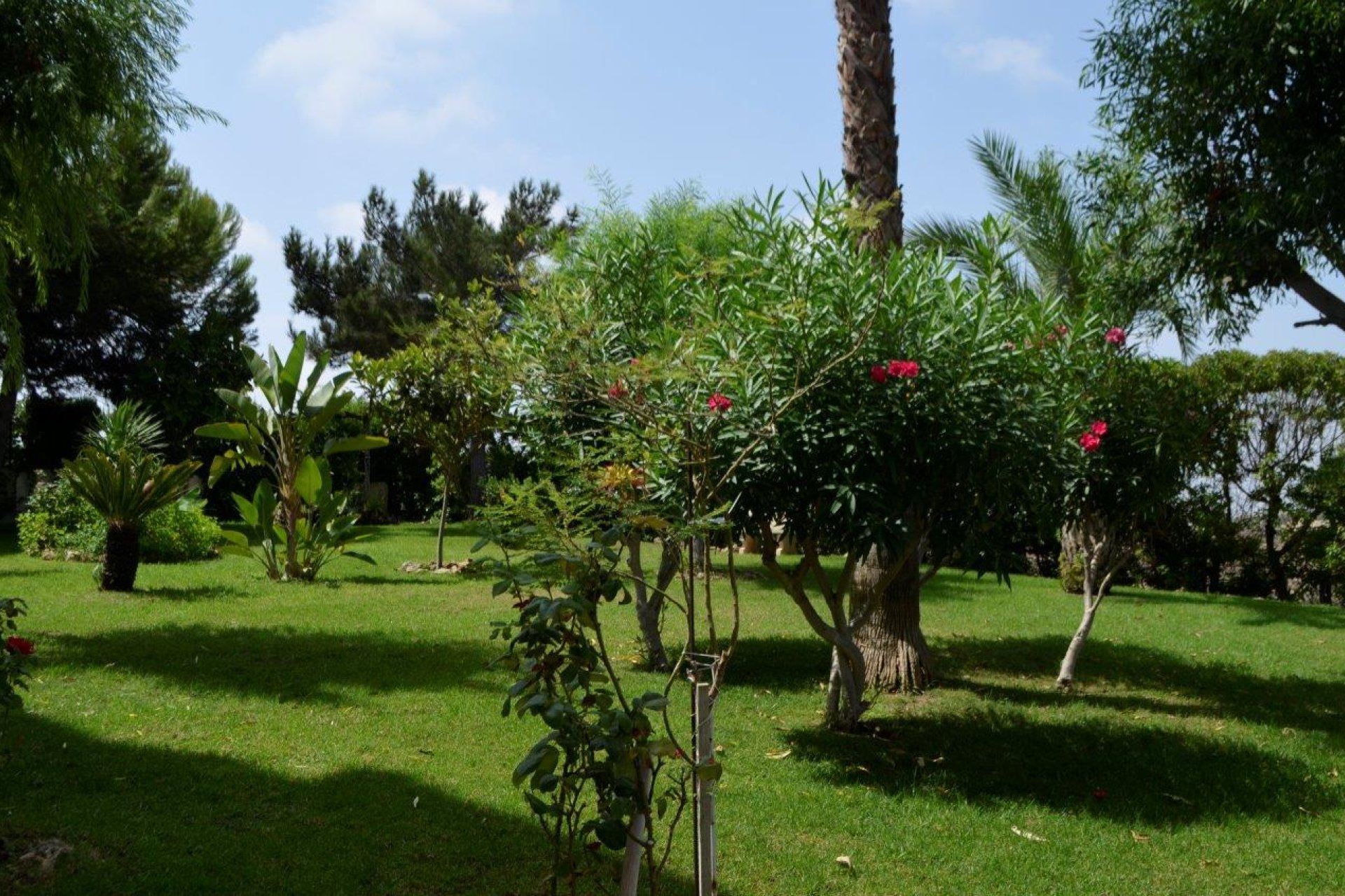 Вторичная недвижимость - квартира - Torrevieja - La Mata