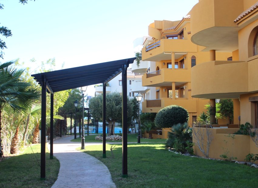 Вторичная недвижимость - квартира - Torrevieja - Punta Prima