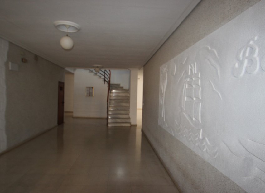 Вторичная недвижимость - Студия - Torrevieja - Centro Ciudad