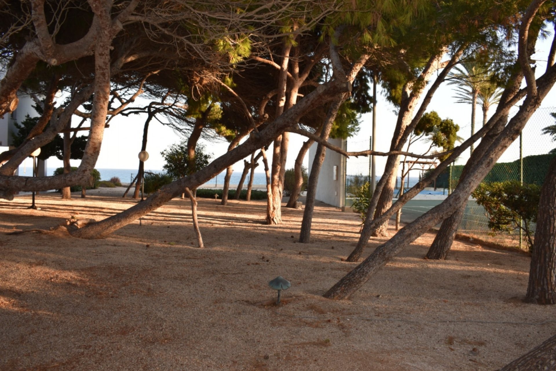 Вторичная недвижимость - участок - Orihuela costa - Cabo Roig