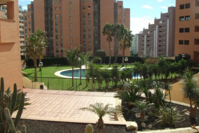 Вторичная недвижимость - квартира - Benidorm - Finestrat