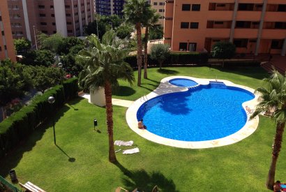 Вторичная недвижимость - квартира - Benidorm - Finestrat