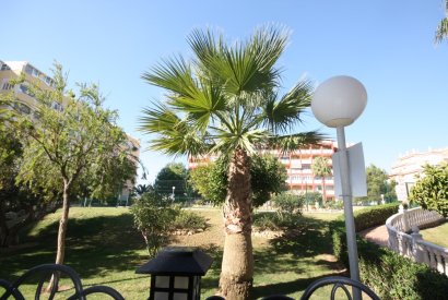 Sale - Studio apartment - Torrevieja - La Mata