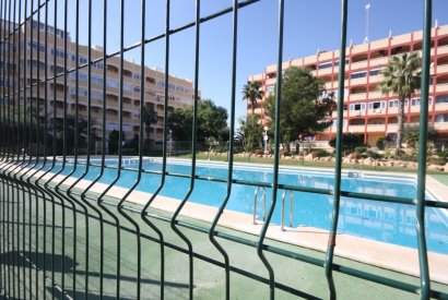 Sale - Studio apartment - Torrevieja - La Mata