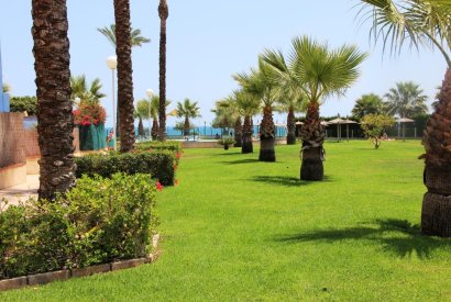 Sale - Penthouse - Orihuela costa - Aguamarina