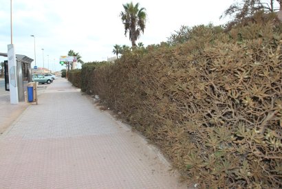Вторичная недвижимость - бунгало - Torrevieja - La Mata