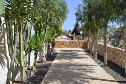 Вторичная недвижимость - квартира - Torrevieja - La Mata