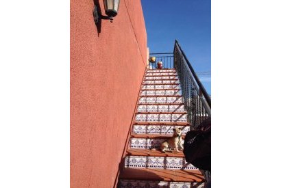 Вторичная недвижимость - бунгало - Torrevieja - Nueva Torrevieja/Aguas Nuevas