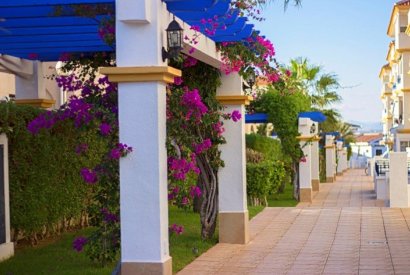 Вторичная недвижимость - бунгало - Torrevieja - La Mata