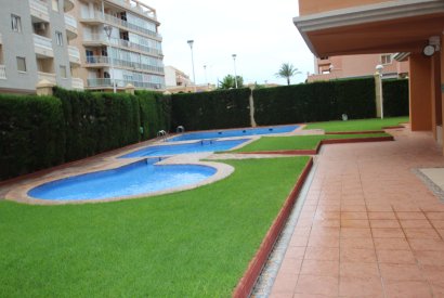 Sale - Duplex - Torrevieja - Centro Ciudad