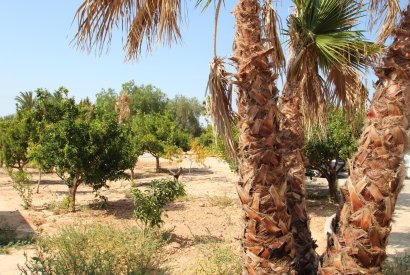 Вторичная недвижимость - Дом - San Miguel de Salinas