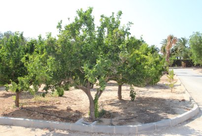 Вторичная недвижимость - Дом - San Miguel de Salinas