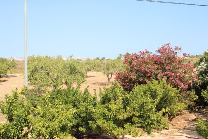 Вторичная недвижимость - Дом - San Miguel de Salinas