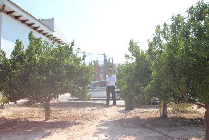 Вторичная недвижимость - Дом - San Miguel de Salinas