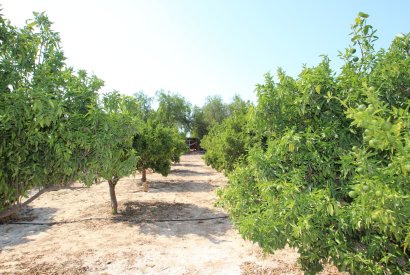 Вторичная недвижимость - Дом - San Miguel de Salinas