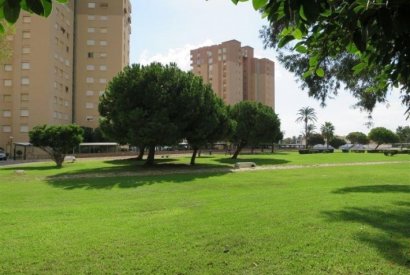 Вторичная недвижимость - квартира - Orihuela costa - Cabo Roig