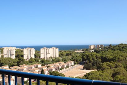 Вторичная недвижимость - квартира - Orihuela costa - Dehesa de Campoamor