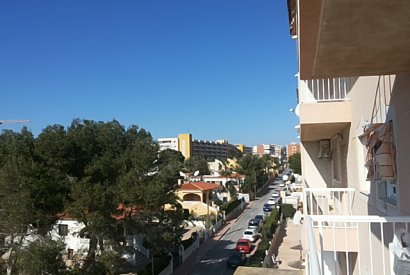 Вторичная недвижимость - квартира - Torrevieja - Punta Prima