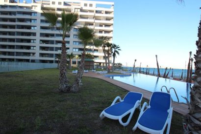 Alquiler vacacional - Apartamento/Piso - Torrevieja - Punta Prima
