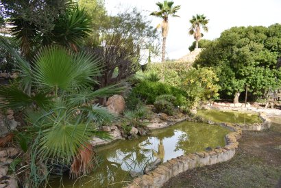 Venta - Casa - Orihuela costa - La Zenia