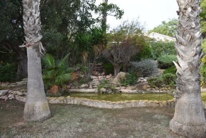 Venta - Casa - Orihuela costa - La Zenia