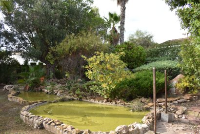 Venta - Casa - Orihuela costa - La Zenia