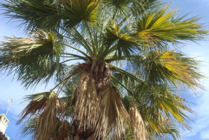 Вторичная недвижимость - бунгало - Orihuela costa - Villamartín Golf Resort