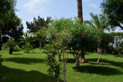 Вторичная недвижимость - квартира - Torrevieja - La Mata