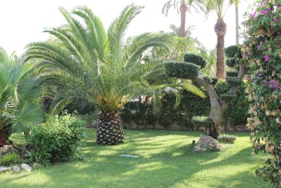 Sale - Villa - Cabo Roig