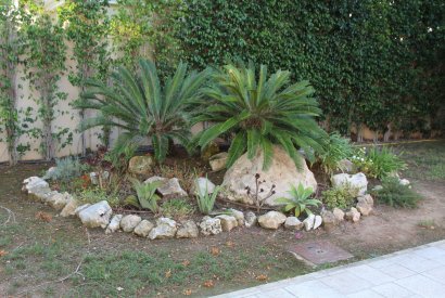 Sale - Villa - Cabo Roig