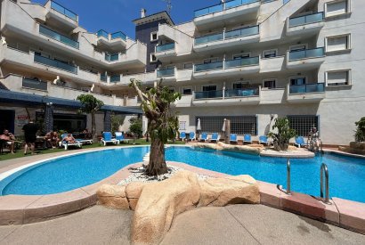 Аренда - квартира - Orihuela costa - Aguamarina