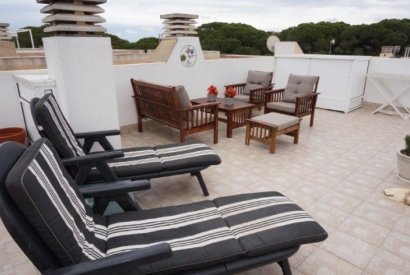 Вторичная недвижимость - бунгало - Torrevieja - La Mata