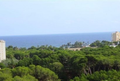 Вторичная недвижимость - квартира - Orihuela costa - Dehesa de Campoamor