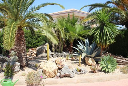 Sale - Villa - Orihuela costa - Cabo Roig