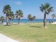 Venta · Atico Orihuela costa · Playa Flamenca